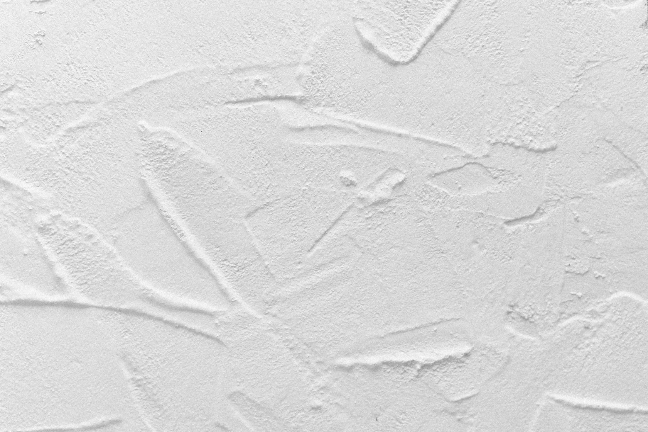 white concrete wall texture. White mortar wall texture.
